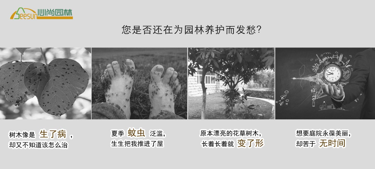 人生就是搏(中国集团)官方网站